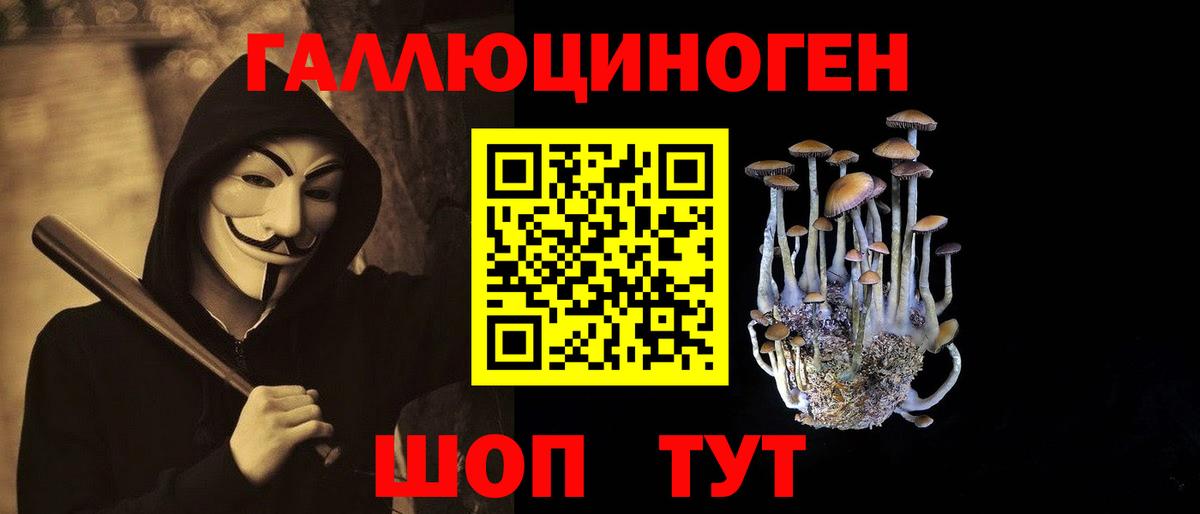 Псилоцибиновые грибы GOLDEN TEACHER  магазин    Ковров  Вход с VPN  Псилоцибиновые грибы GOLDEN TEACHER 