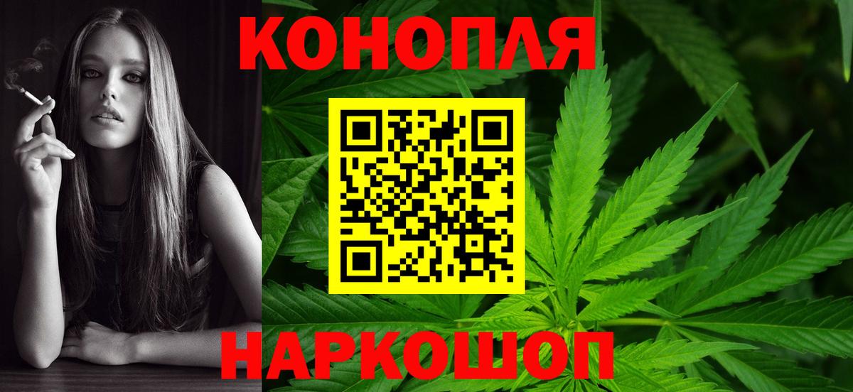Шишки марихуана план  Марихуана сатива  Каннабис планчик  Ковров  Вход с VPN 